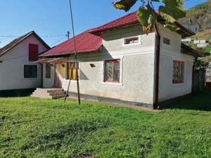 Casa de vanzare + teren si padure - imagine 9