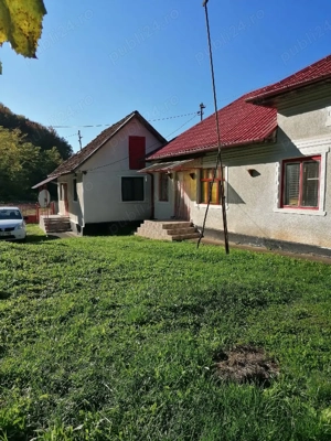 Casa de vanzare + teren si padure - imagine 10