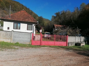 Casa de vanzare + teren si padure - imagine 5