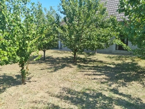 Vand Casa in Odaia Manolache Galati - imagine 7