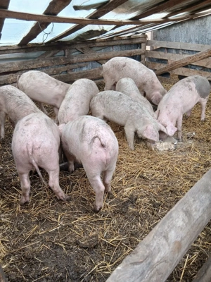 de vanzare - imagine 5