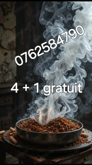 Tutun tocat +firicel