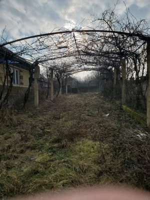 Casă de vânzare în Balaia, jud Bihor - imagine 4