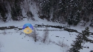 Teren 2283 mp – Tarcău - imagine 5