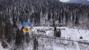 Teren 2283 mp – Tarcău - imagine 4