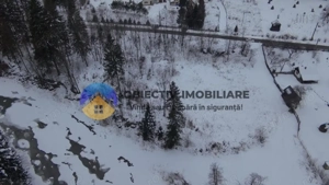 Teren 2283 mp – Tarcău - imagine 3