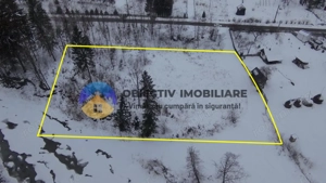 Teren 2283 mp – Tarcău