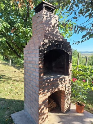 Vand casa spatioasa cu livada si teren generos (7200 mp) in Catamaresti-Deal, Botosani - imagine 10