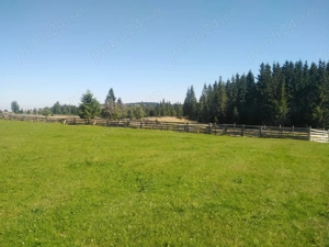 Vând teren Sat Măguri  - imagine 3