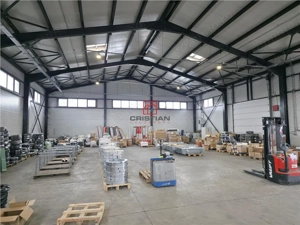 Vanzare depozit hala spatiu industrial Theodor Pallady - Drumul Intre Tarlale - Oxigenului - imagine 9