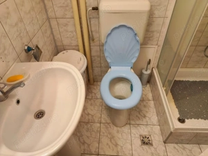 Cismigiu - Stirbei Voda - imagine 6