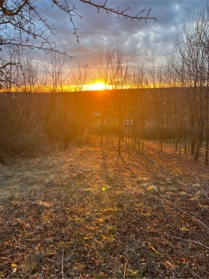 vand teren cralovat - imagine 3