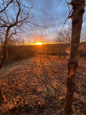 vand teren cralovat - imagine 2