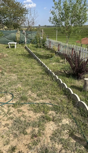 Teren Intravilan Zina regnum tulcea