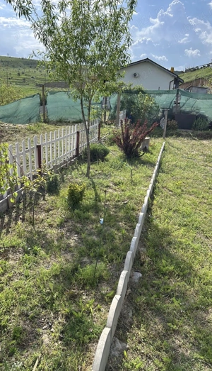 Teren Intravilan Zina regnum tulcea - imagine 2