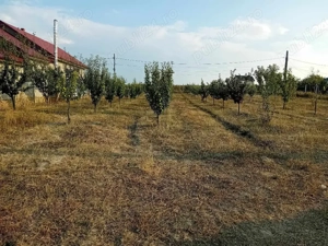 casa locuibilă in mesteacăn, Corni, Botoșani  - imagine 4