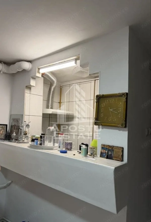 Apartament 3 camere de vanzare, zona Lipovei, Timisoara, jud.Timis - imagine 11