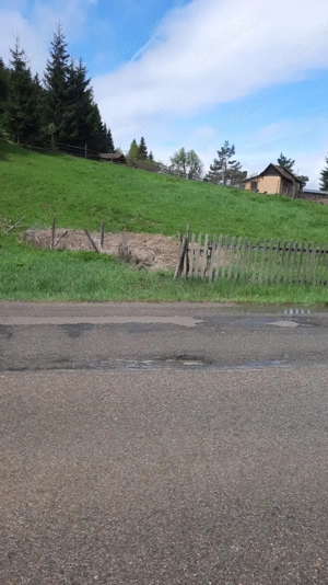 vindem teren intravilan  - imagine 5