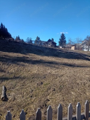 vindem teren intravilan  - imagine 4