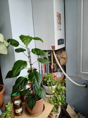 Apartament 3 camere - imagine 13