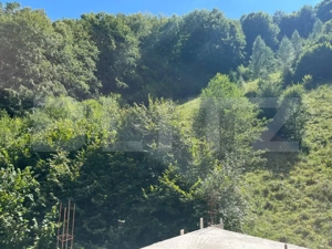 Cabană 5 camere, teren de 1000 mp, Valea Ierii - imagine 16