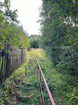 Cabană 5 camere, teren de 1000 mp, Valea Ierii - imagine 13