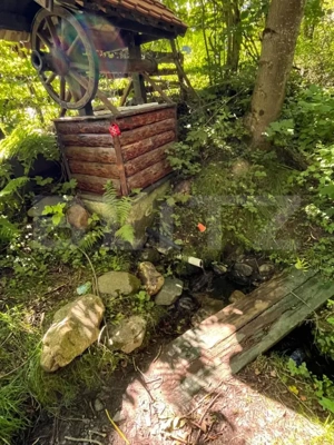 Cabană 5 camere, teren de 1000 mp, Valea Ierii - imagine 12