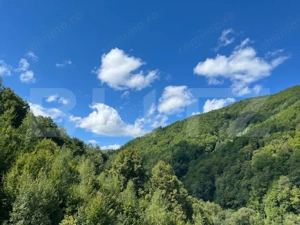 Cabană 5 camere, teren de 1000 mp, Valea Ierii - imagine 17