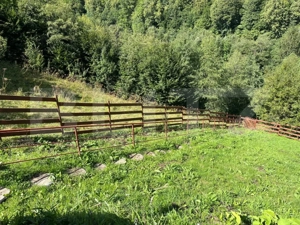 Cabană 5 camere, teren de 1000 mp, Valea Ierii - imagine 14