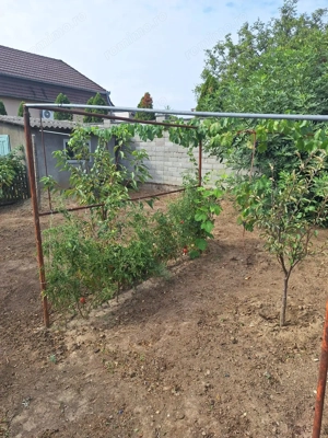 CI632 Sagului, Apartament la casa,1 camera - imagine 2