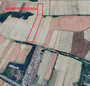 Vand 80 ARI teren agricol Orta de Jos 