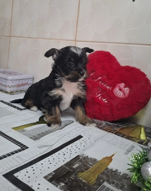 Două fetițe si un băiețel , foarte mâncaciosi si iubitori. lunițe. - imagine 4