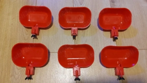 Adapatori pasari  - imagine 3