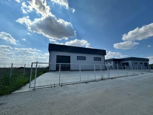 Hale noi 444 mp Domnesti- Centura Bucuresti - imagine 2