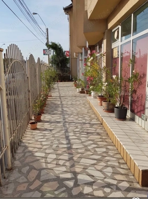 cazare pensiune deva  - imagine 2