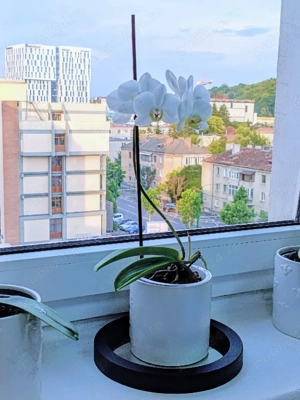 Ultracentral - birou mobilat și utilități incluse in preț - Centrul Civic 