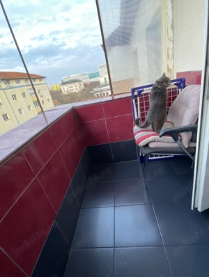 Zona Torontalului, apartament 3 camere, decomandat, etaj 4 din 5, pet friendly, chirie 450 euro  - imagine 10