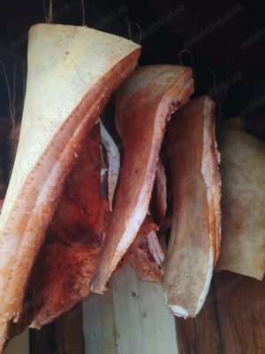 Slanina de vânzare  - imagine 2