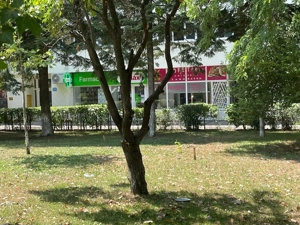 Berceni, spatiu cu chirias!