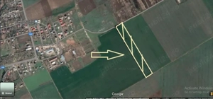Teren Stradal Fundeni Calarasi parcelabil stradal - imagine 2