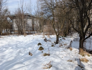 Casa de locuit cu regim de P+E situata in Loc. Aluniş, jud MS - imagine 2