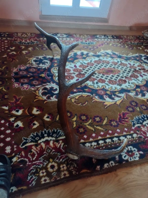 vand   CORN      110 cm original 5raze