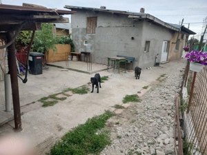 Casa de vânzare  - imagine 9