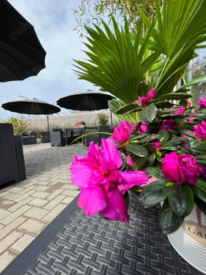 Inchiriez spatiu comercial Fast-food - imagine 3