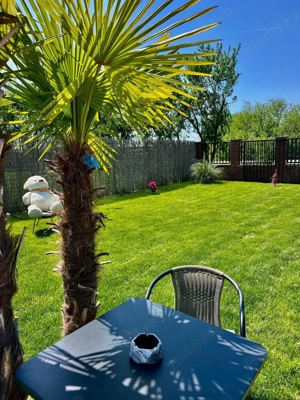 Inchiriez spatiu comercial Fast-food - imagine 4