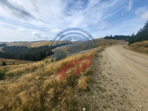 Teren de vanzare in Horezu/Bolca Pietrele Scrise/Valcea - imagine 5