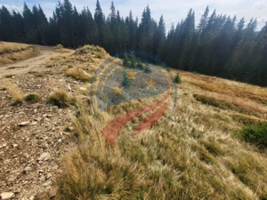 Teren de vanzare in Horezu/Bolca Pietrele Scrise/Valcea - imagine 6