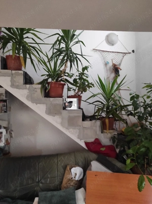 casă P + M, zona biserica din Ceangăi  - imagine 7