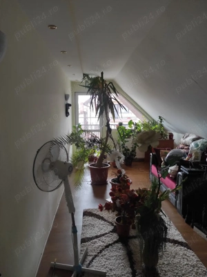 casă P + M, zona biserica din Ceangăi  - imagine 4