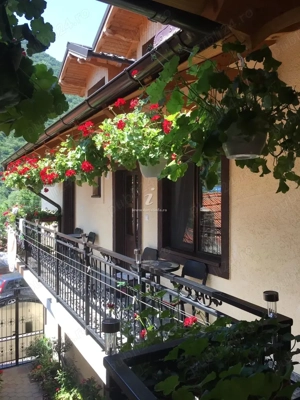 Cazare CASA CU FLORI  Baile Herculane  - imagine 2